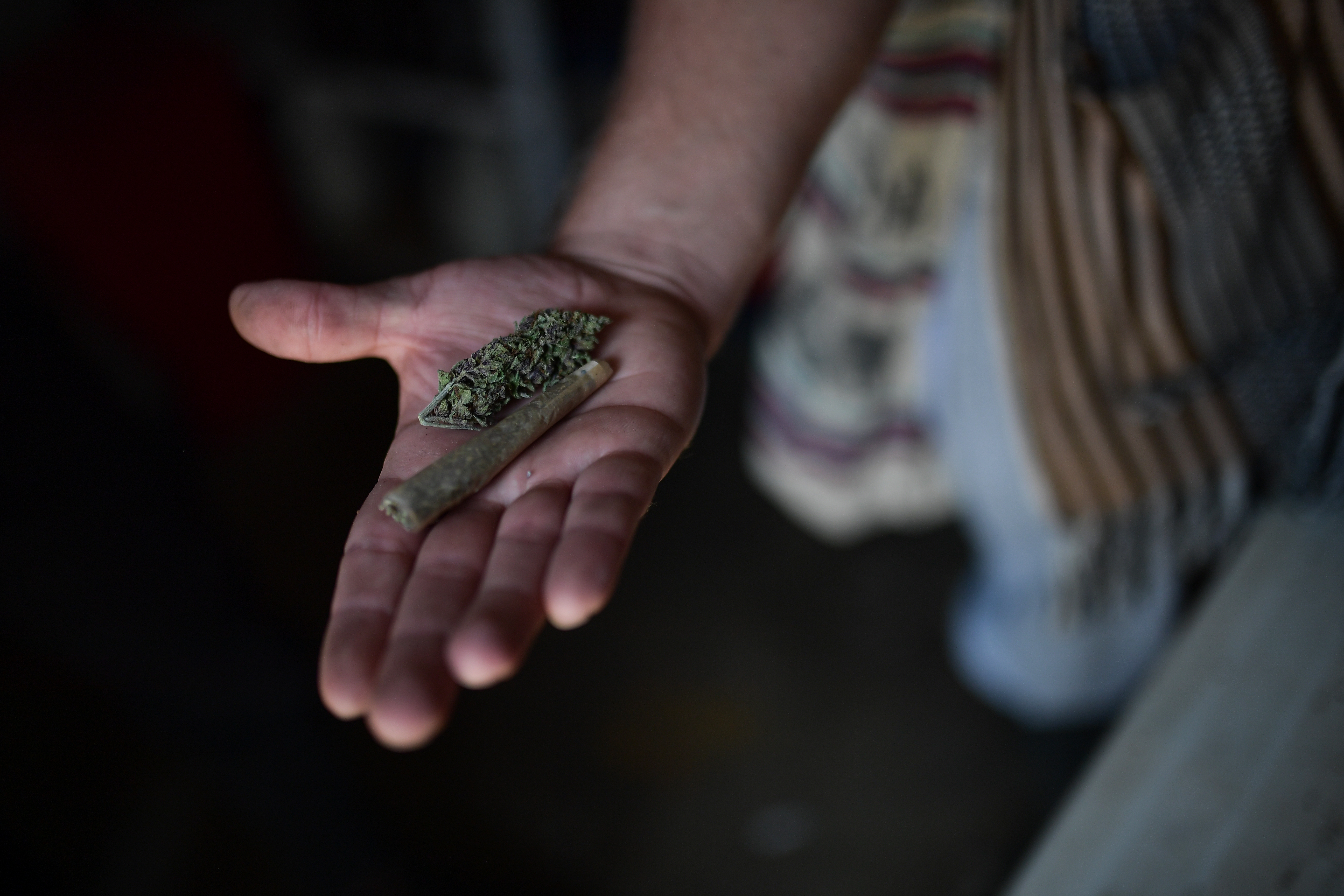 Negocio de la marihuana en el Norte del Cauca