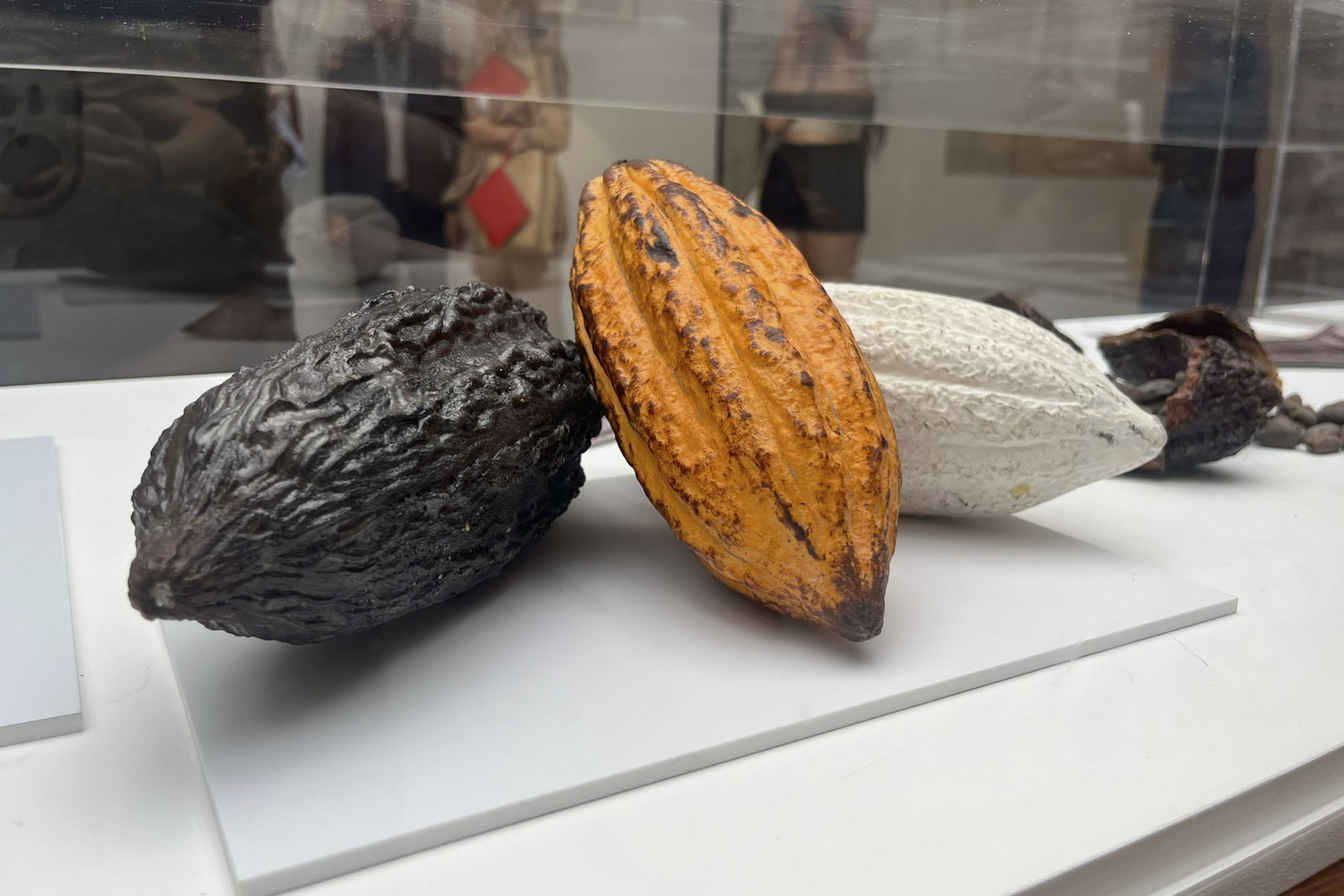 “Una planta de otro mundo”, un viaje a través del cacao de Ecuador desde Madrid