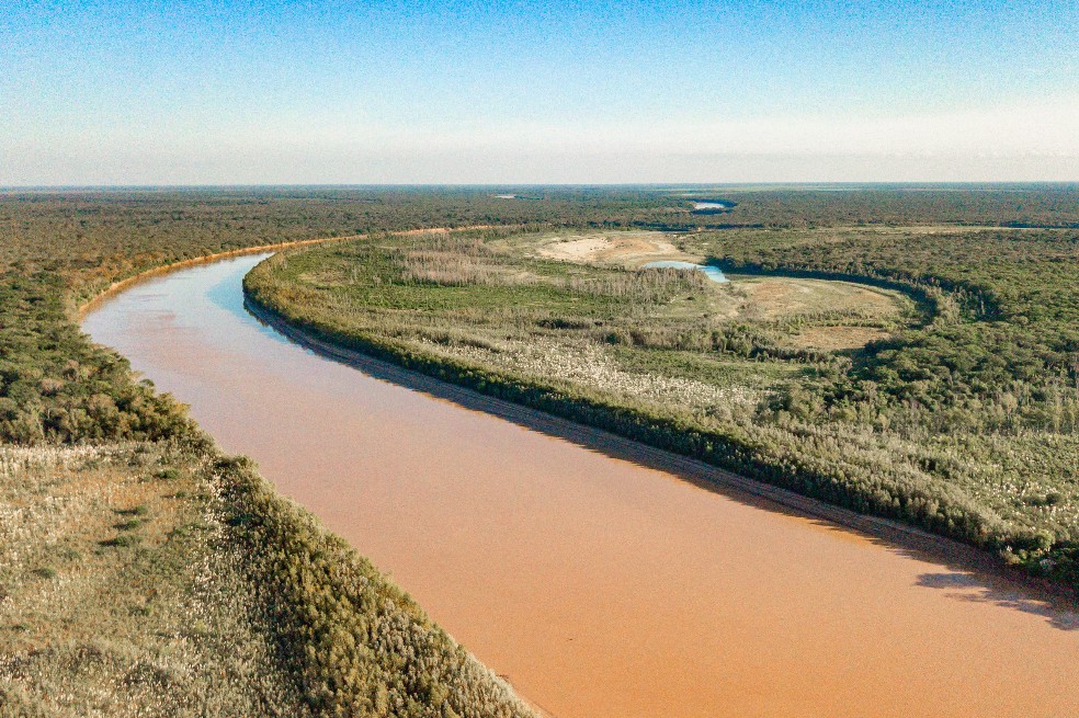 La segunda selva más grande de Sudamérica está siendo destruida