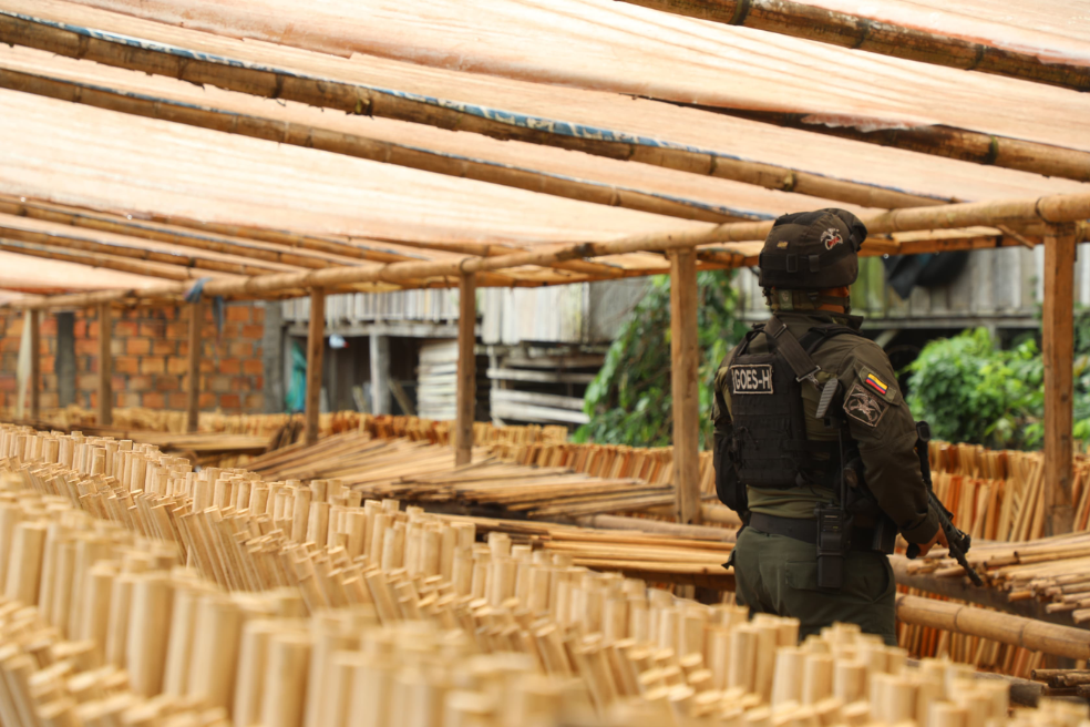 Desarticulan una red de tráfico de madera extraída ilegalmente de la Amazonía