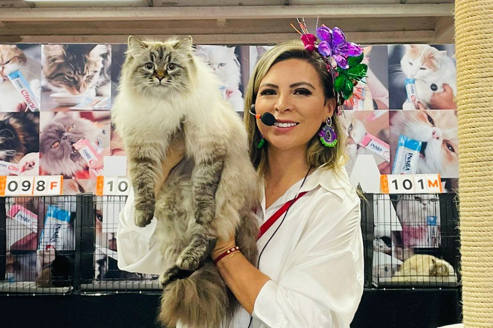 Expopet 2023: agéndese para la VIII Copa Internacional Felina