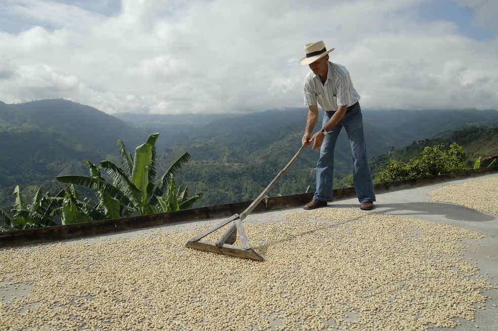 Los retos de exportar café