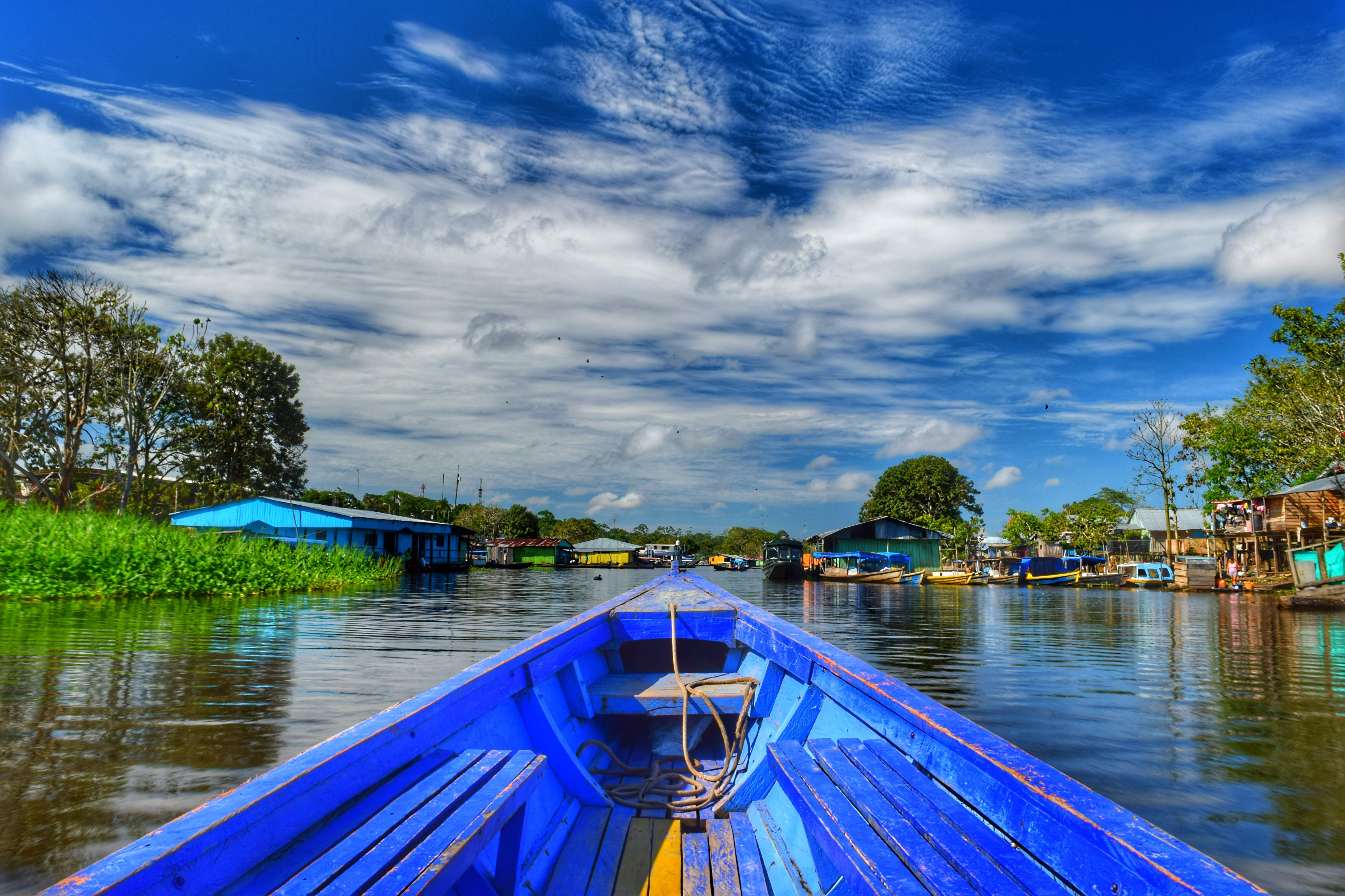 El turismo en el Amazonas incluye desde caminatas por la selva y paseos en canoa hasta avistamientos de aves y visitas a comunidades indígenas.
