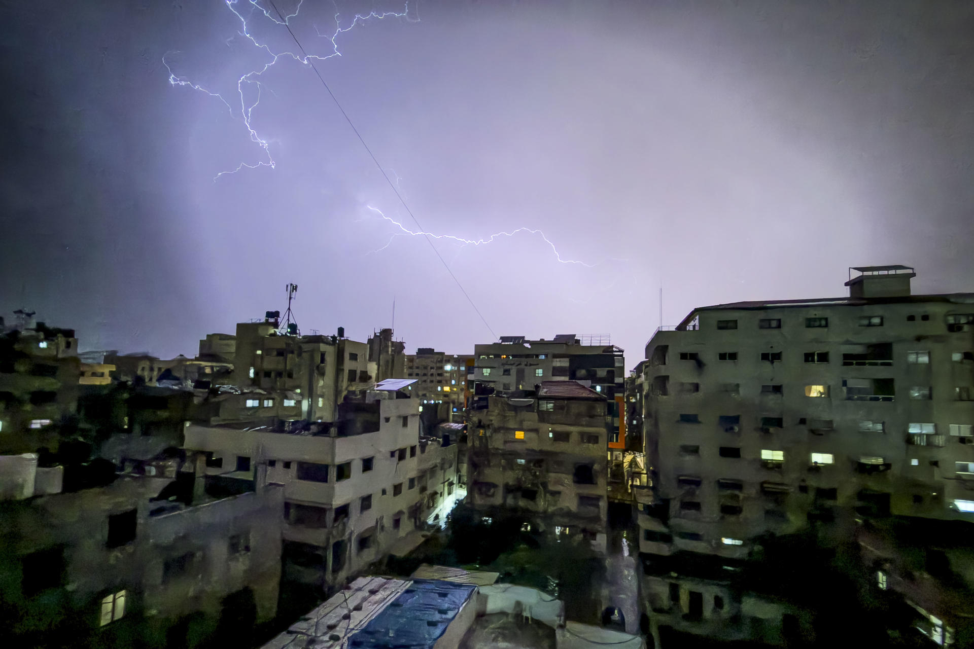 Gaza tiene un nuevo problema: plaga de ratas amenaza la salud de casi un millón de personas