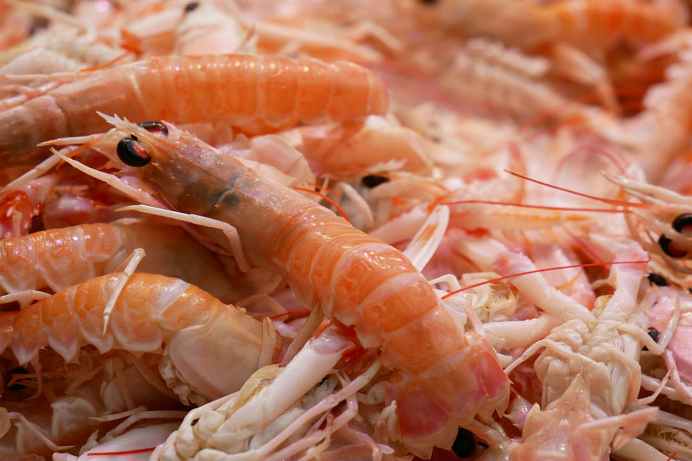 La mitad de las personas que creen ser alérgicas a una comida no lo son