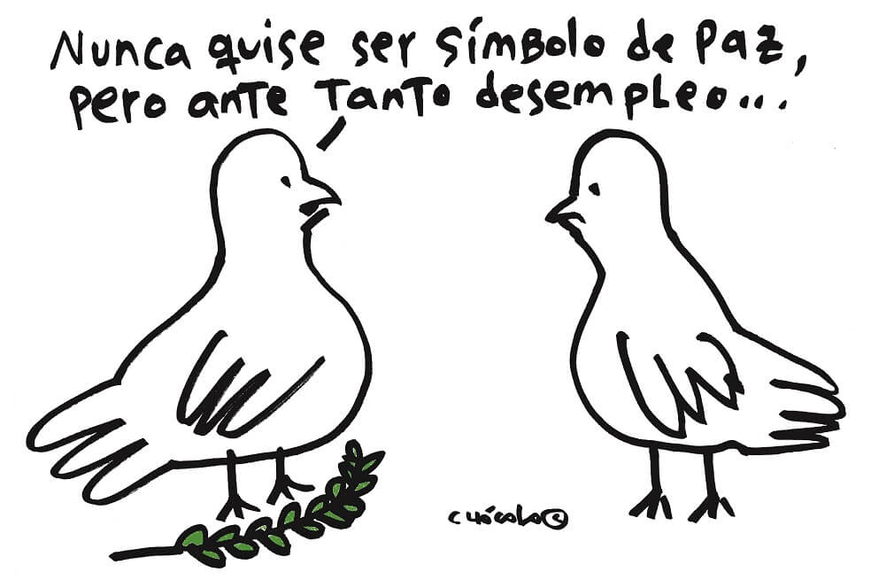 Chócolo