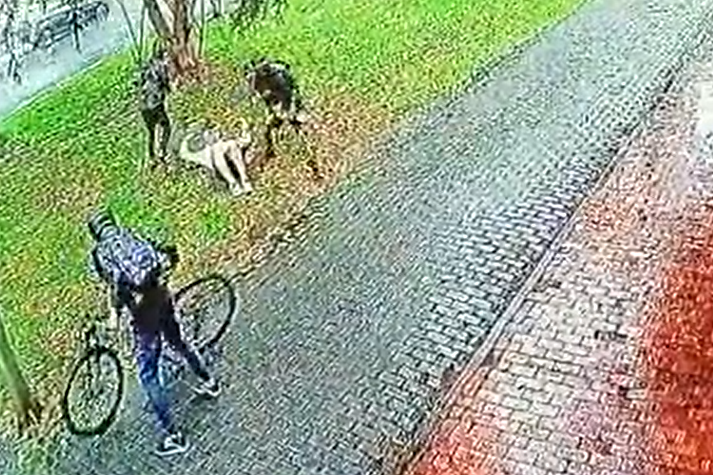 Robo bicicleta Bogotá