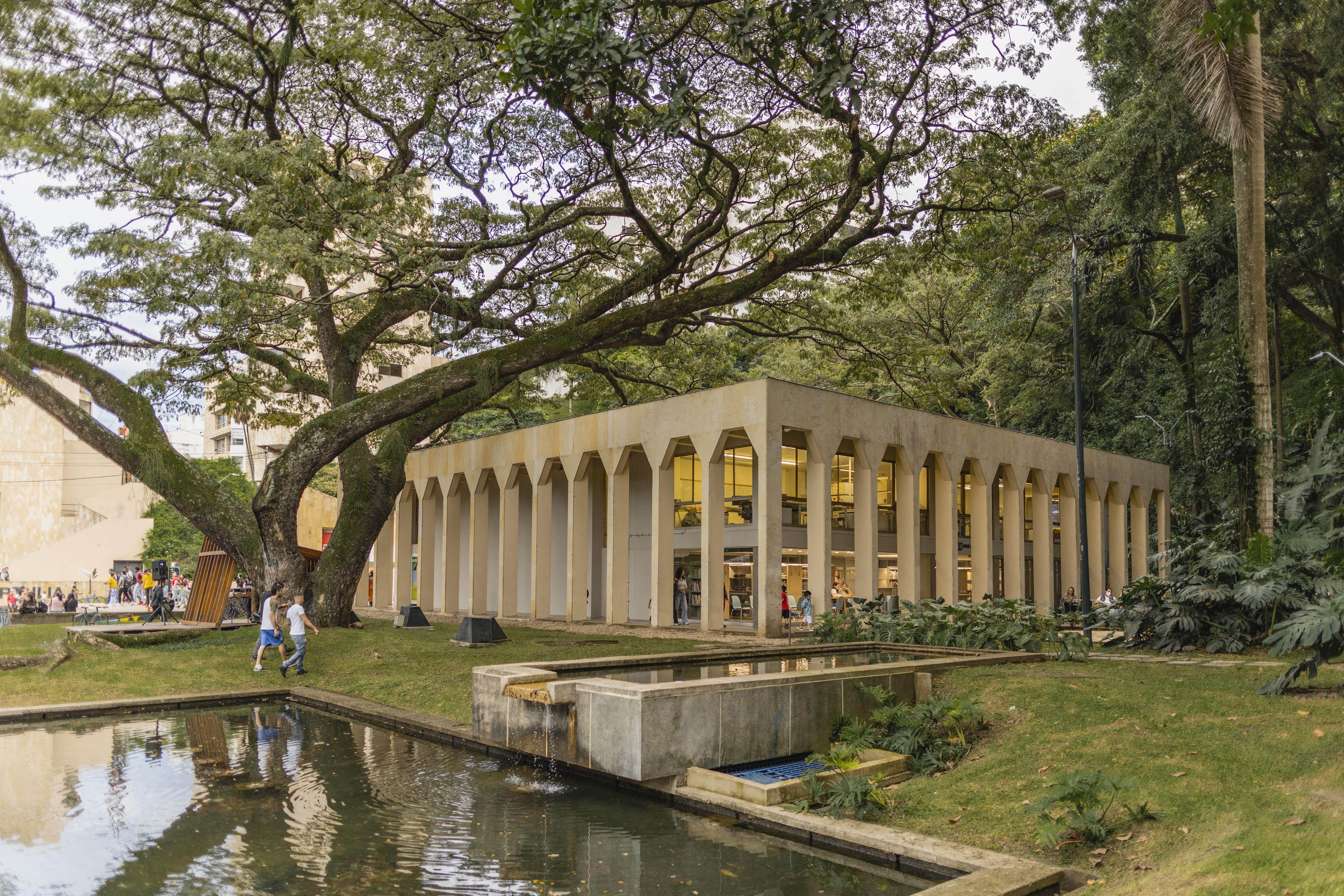 Sobre los 70 años del Museo La Tertulia y el día a día de su directora