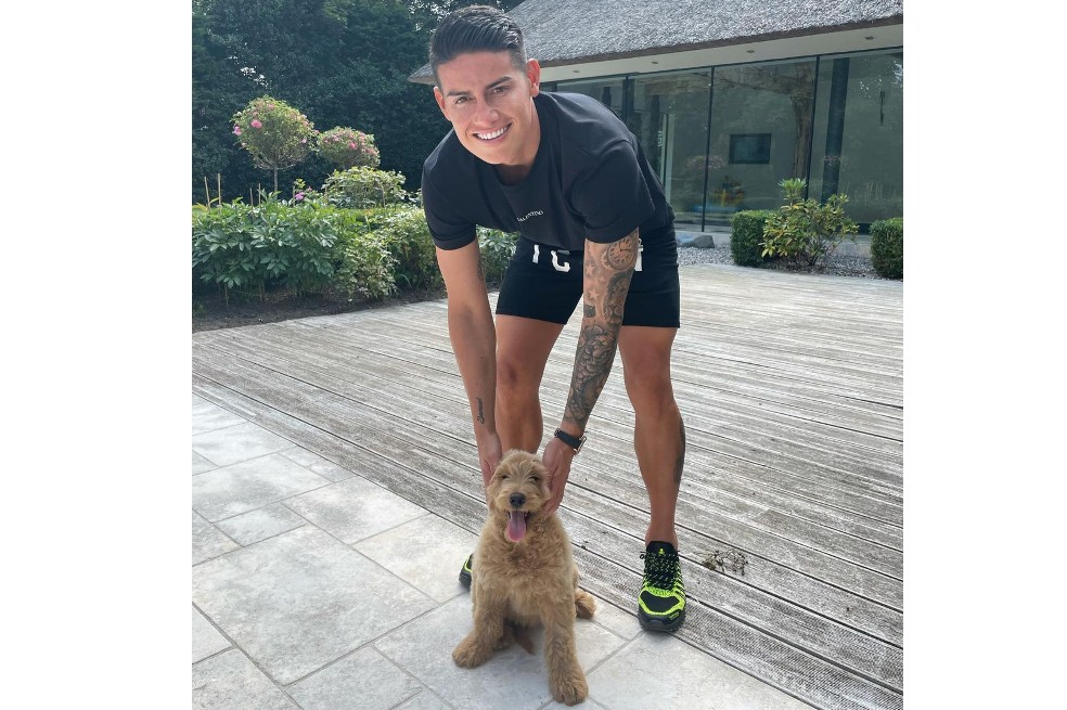 ¿Cuánto cuesta un Goldendoodle, el nuevo perro de James Rodríguez?