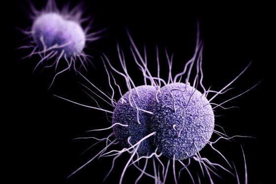Parece cuestión de tiempo que la bacteria “Neisseria gonorrhoeae” desarrolle resistencia contra los tratamientos actuales.