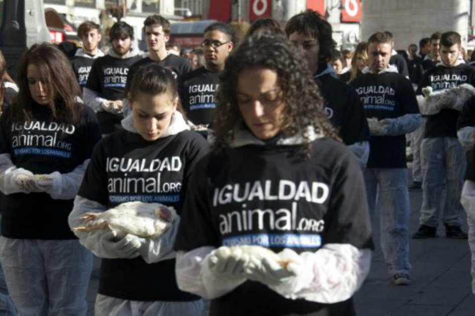 Perú aprueba cinco años de cárcel por maltrato animal