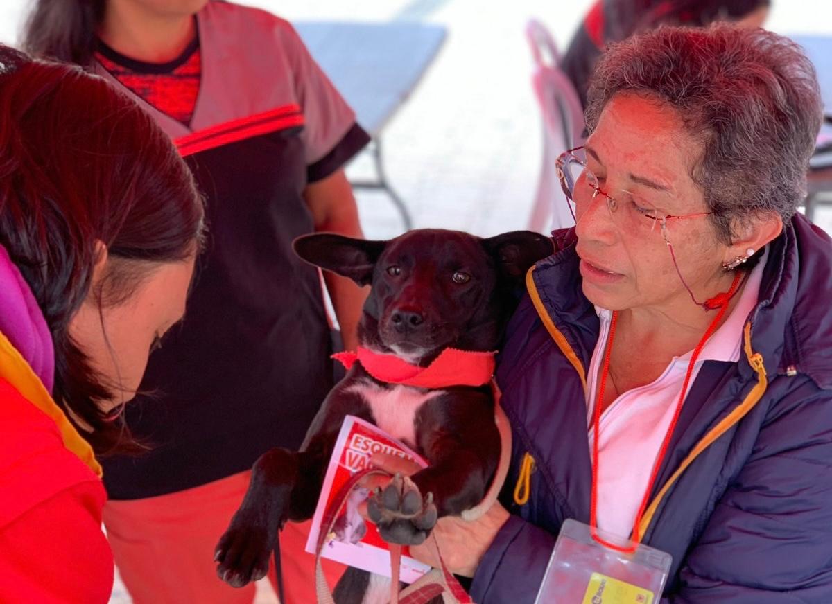 Bogotá celebró su cumpleaños 486 con jornada de bienestar animal
