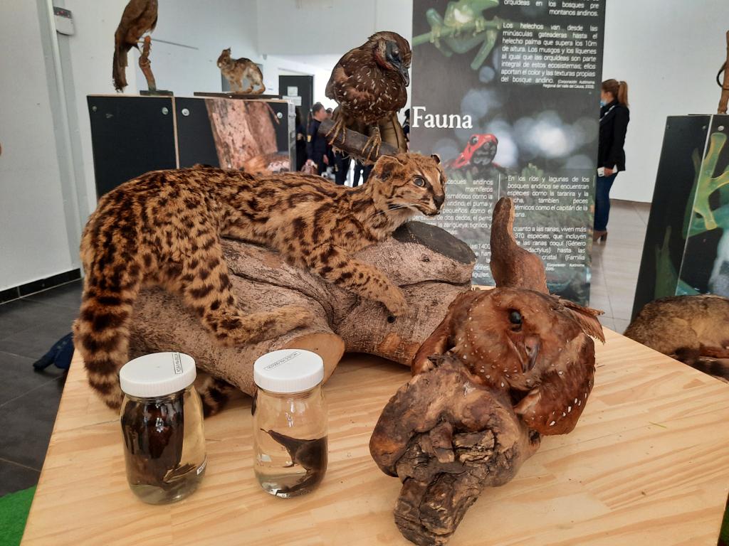 Cundinamarca: lanzan museo didáctico que promueve la conciencia ambiental