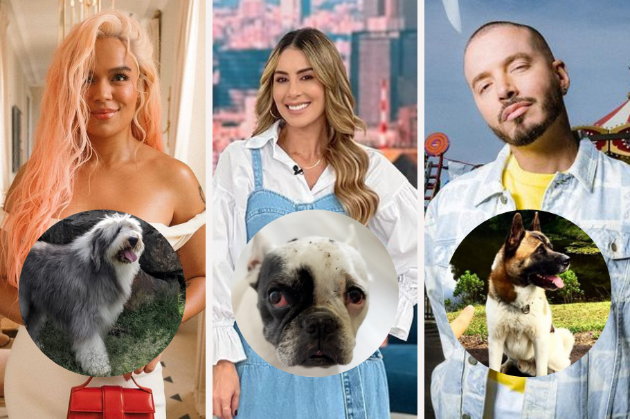 ¡Perros famosos! Estos son los mejores amigos de las estrellas