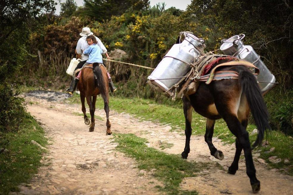 ¿De qué depende el  dividendo de la paz?