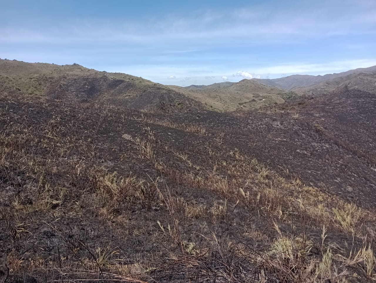 Según Minambiente, por medio del software Orora Tech se modeló y predijo la propagación del incendio, evitando que 520 ha adicionales fueran afectadas. /Fuerza Aeroespacial Colombiana.
