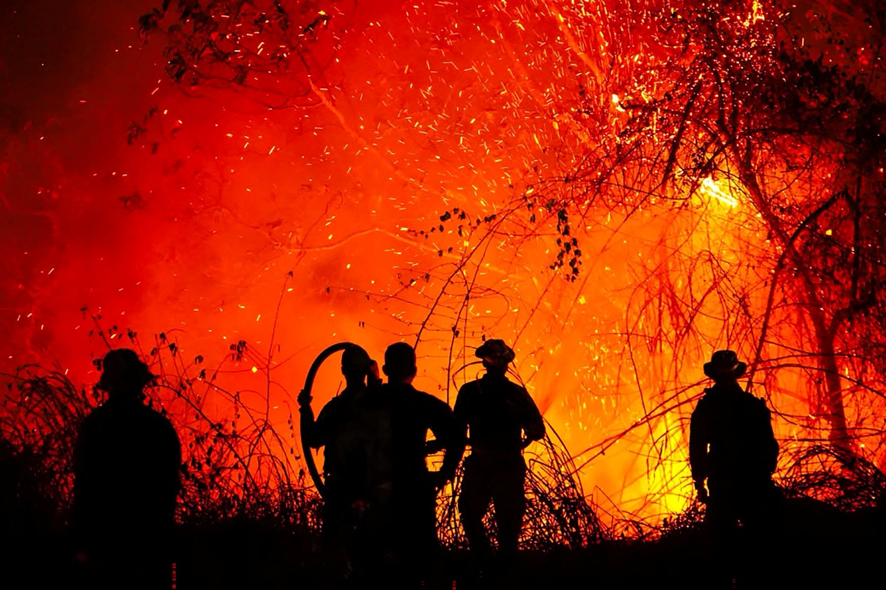 “Serios indicios de manos criminales en los incendios”: Gobernadora del Tolima