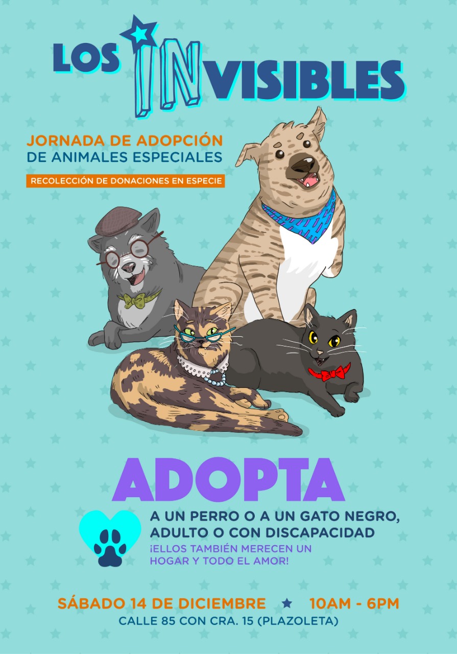 CortesíaQuienes estén interesados en brindarle un hogar a alguno de estos animales, deben tener en cuenta que es necesario diligenciar el formato de adopción y que dependiendo de la solicitud y de las condiciones familiares podrán llevarse de una vez el perro a sus casas o a los gatos en el transcurso de una semana.Todos los animales se entregan esterilizados y el único aporte que se solicita es un bulto de alimento de buena calidad de ocho kilogramos. De esta manera, se espera apoyar la labor de los hogaresde paso.