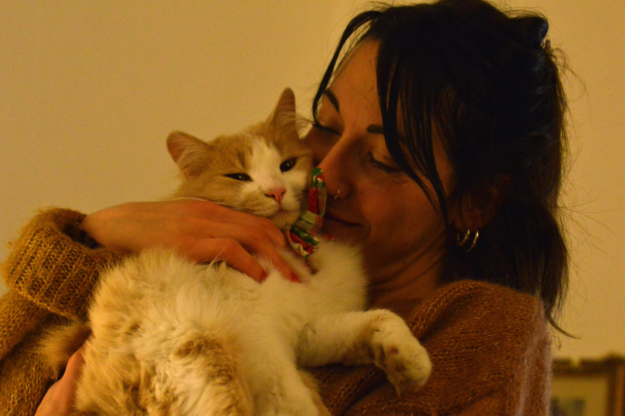 ¿Quisieras ganar más 30 millones de pesos por abrazar gatitos? Mira este trabajo