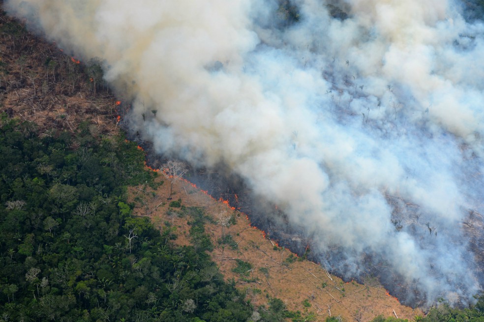 La destrucción de bosque dentro del Resguardo Indígena Nukak avanza cada día.