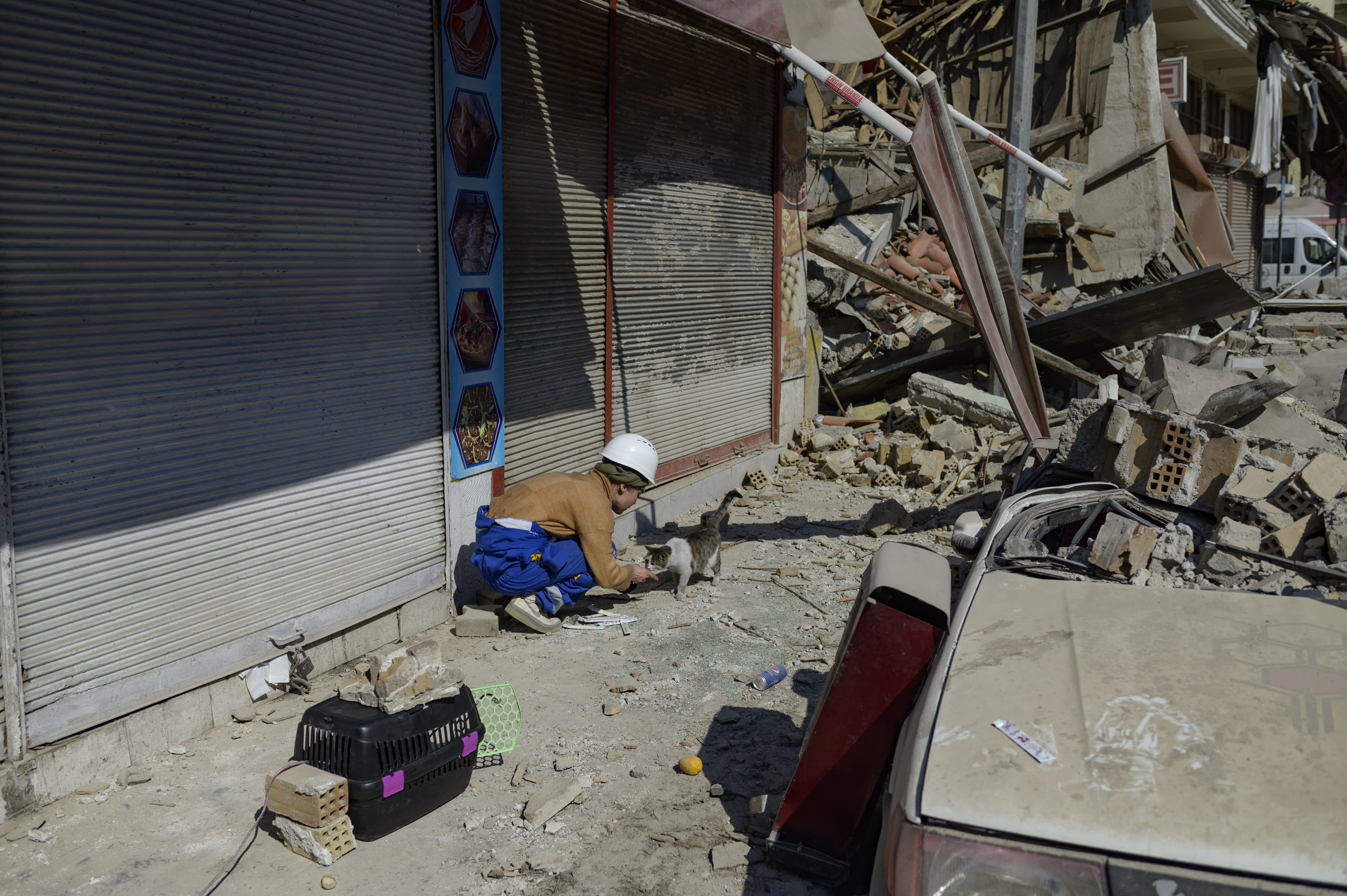 Desde que el sismo de magnitud 7,8 sacudió la región el pasado 6 de febrero, dejando más de 45.000 muertos en Turquía y Siria, cientos de gatos, perros, conejos y pájaros siguen atrapados bajo los escombros que dejó el devastador terremoto.