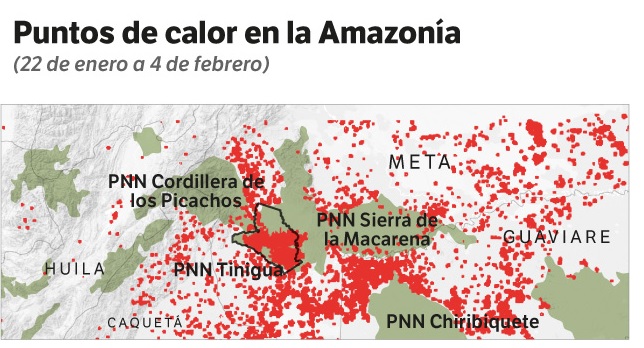 Con datos de Parques Cómo Vamos y Global Forest Watch