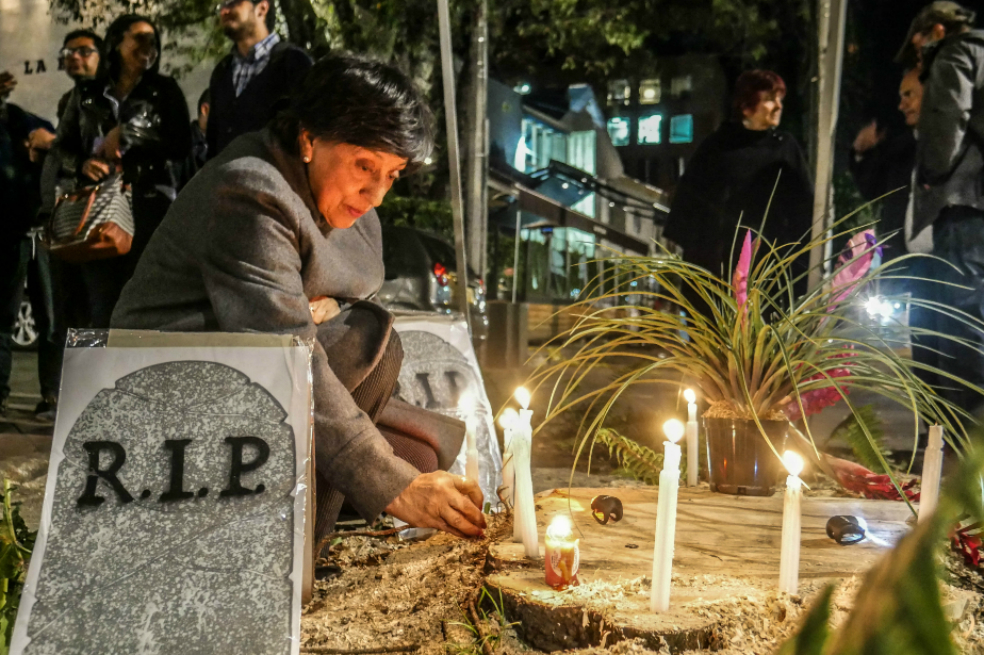 Con vigilia, vecinos del norte de Bogotá protestaron por nueva tala imprevista de árboles
