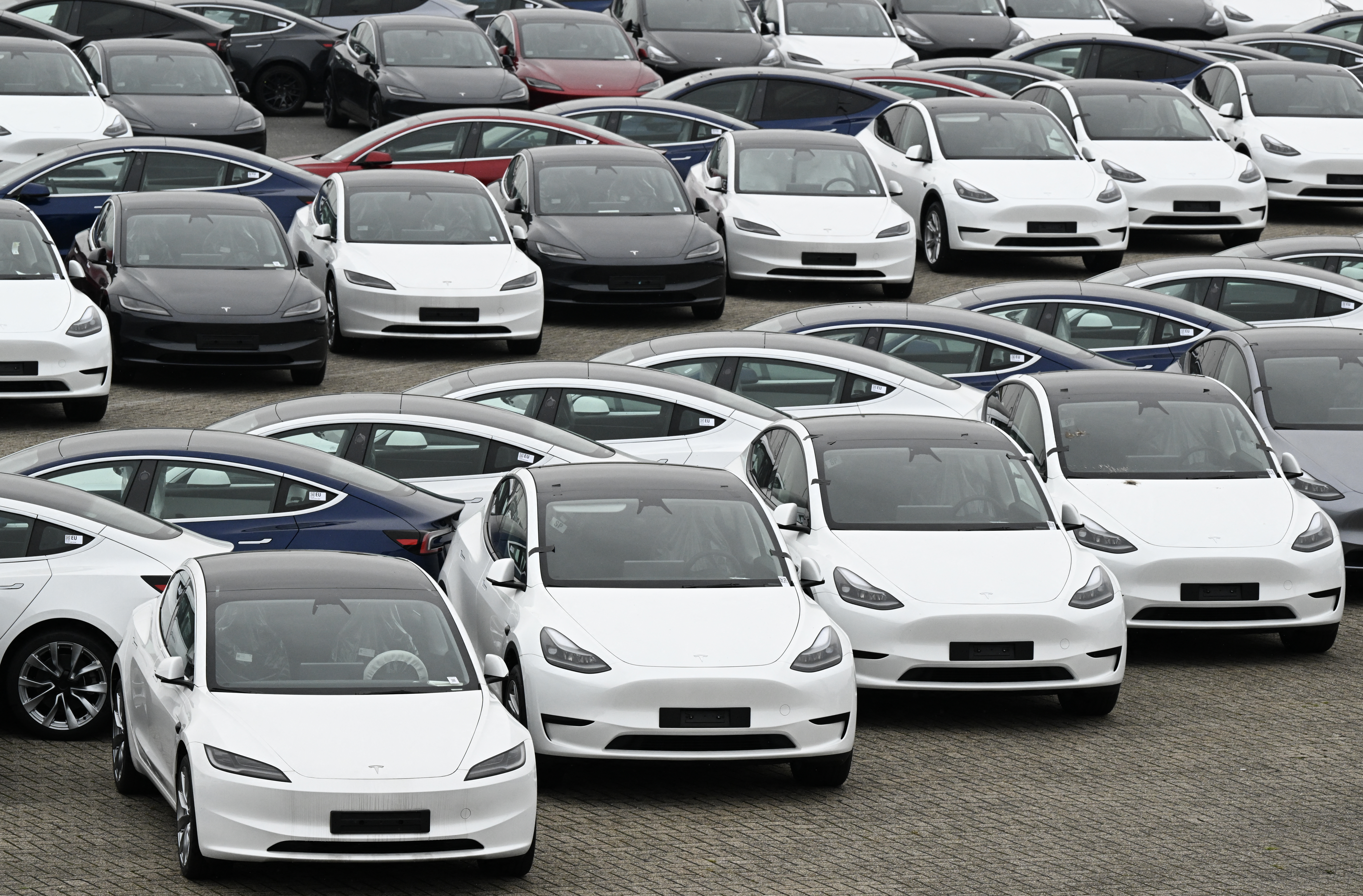 (FILES) Tesla electric cars are stationed in a storage area in the Zeebrugge port, northern Belgium on June 21, 2024.