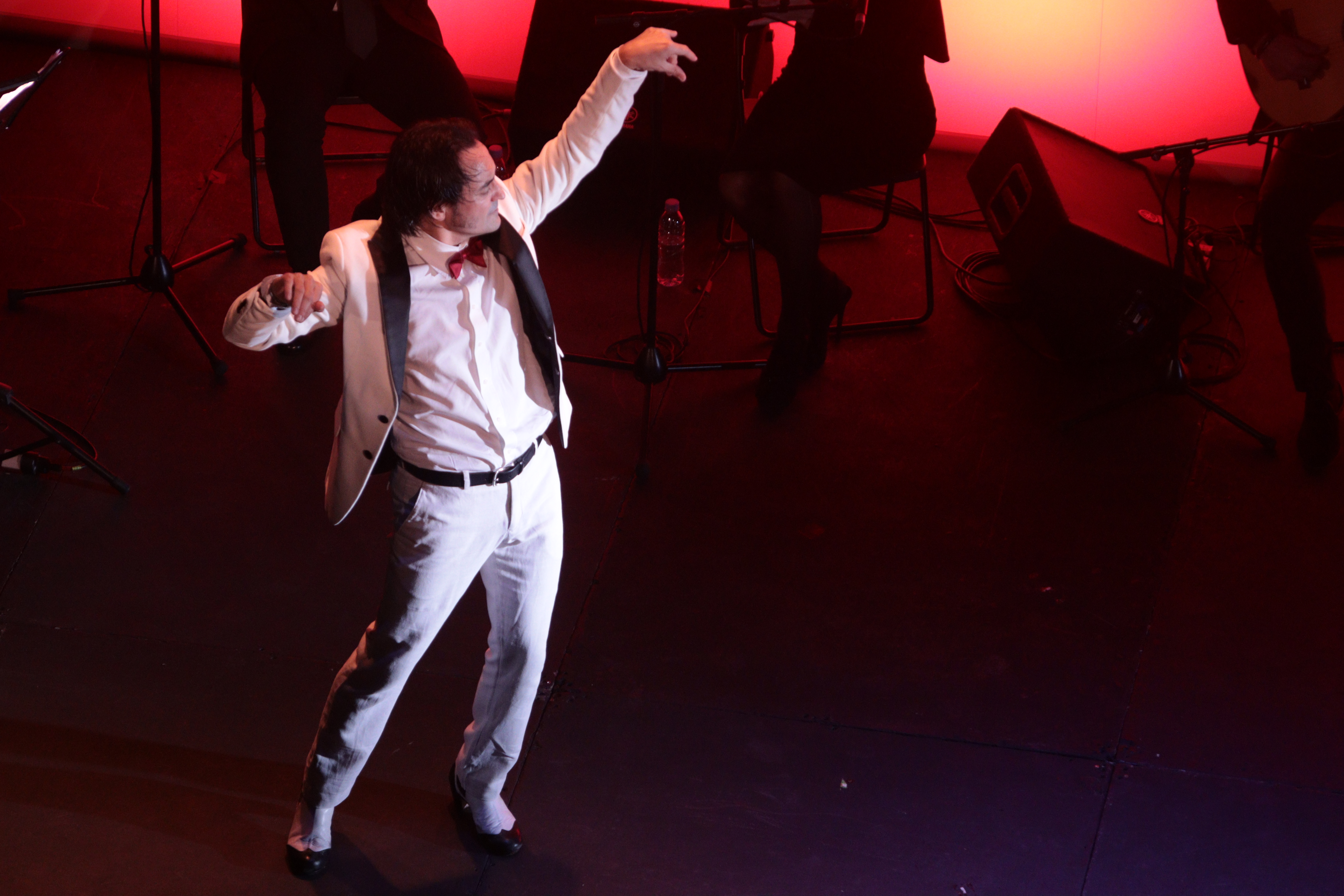 David Morales muestra la esencia del flamenco con “Mirando al sur”