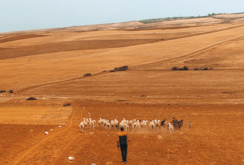 Un sueño africano en tres actos españoles: segunda parte