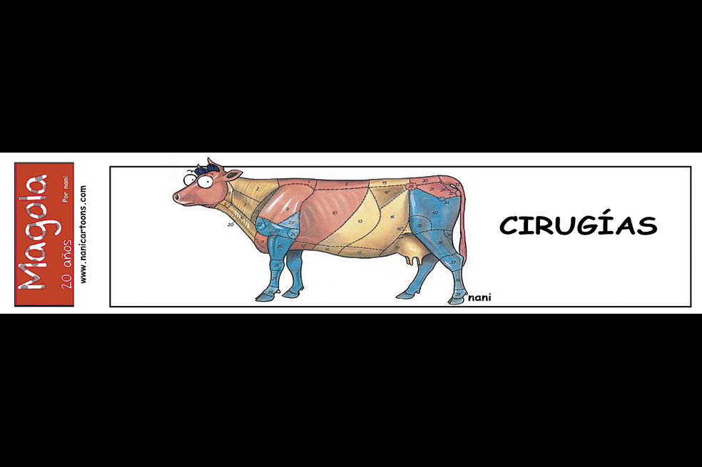 Cirugías