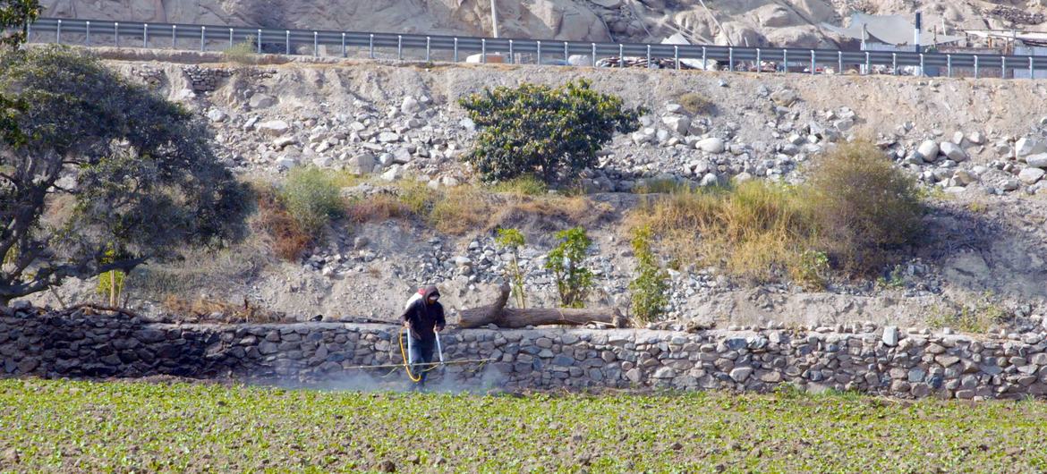 Diez millones de peruanos están en riesgo por ingerir sustancias tóxicas en el agua