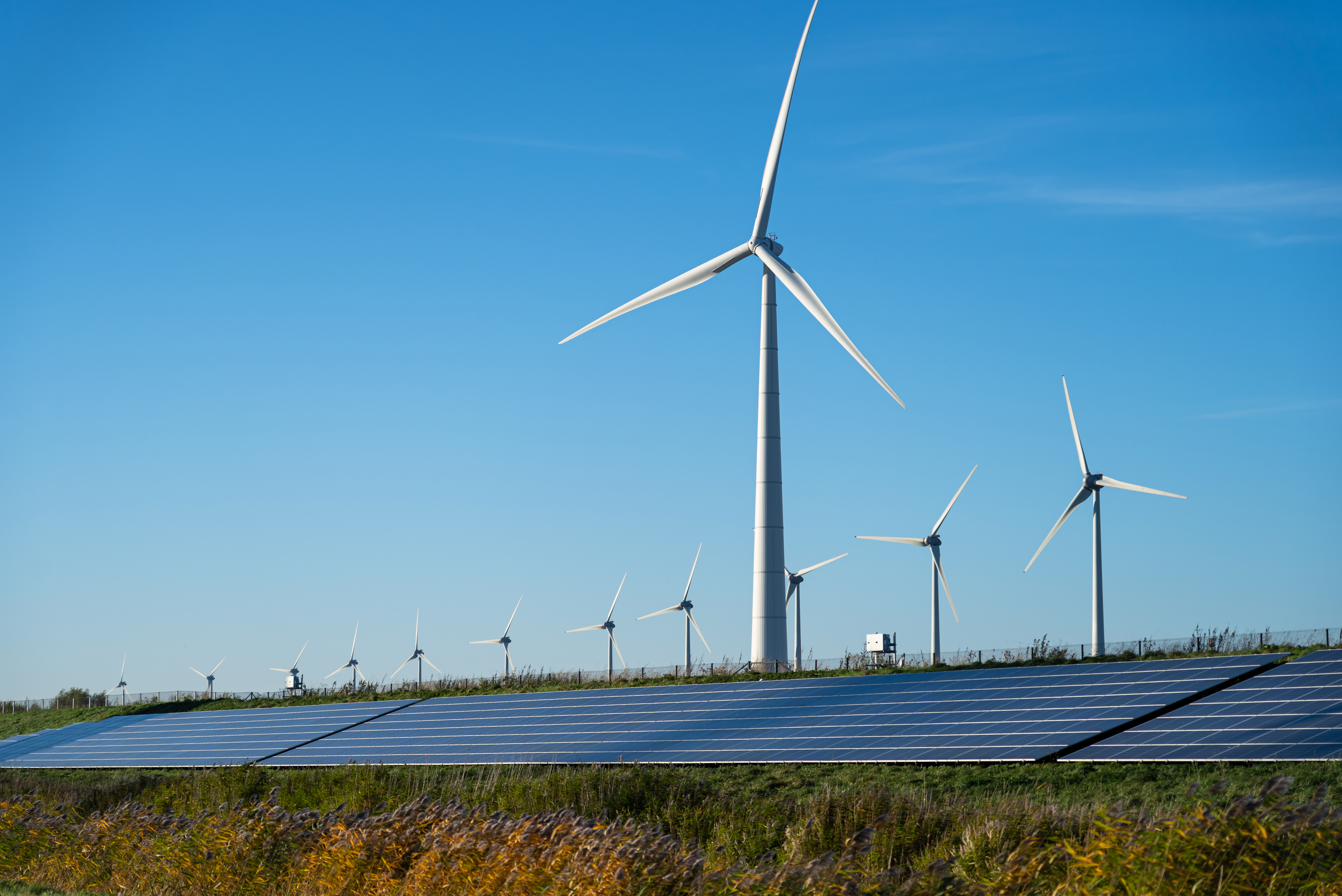 Expertos, Gobierno y sector privado hablarán sobre el futuro de la transición energética