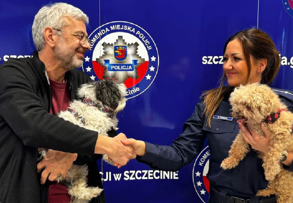 Exconcejal suizo fue víctima de extorsión por el robo de sus perros