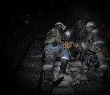 / Cortesía Ecoagromineros