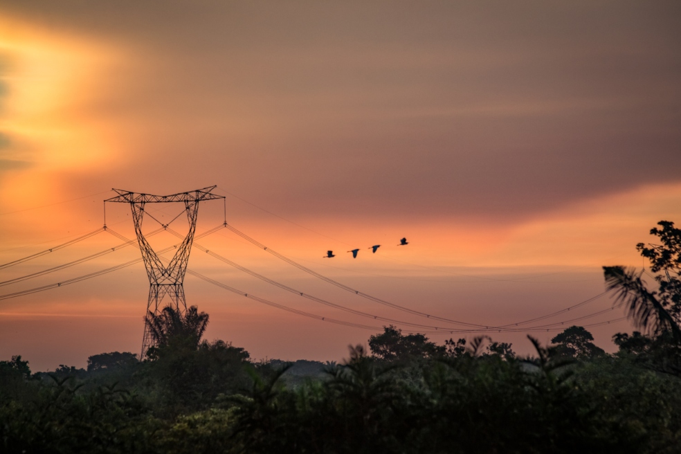 Crean ‘Stars Up’ con US$12 millones para innovación y emprendimiento en energía