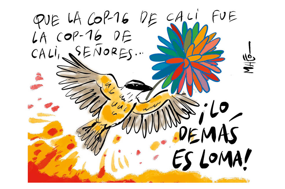 Alto turmequé: de exmandatarios, listas y conmemoraciones