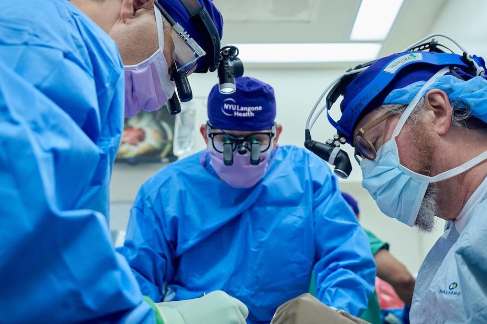 Paciente con trasplante de hígado de un cerdo está bien tras dos semanas de la operación