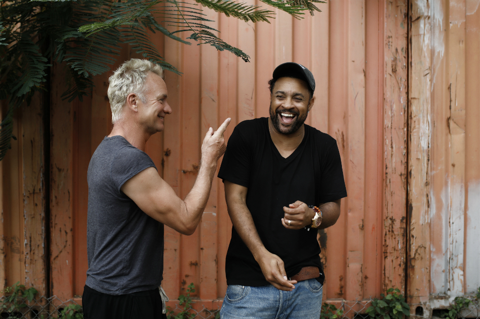 Con Sting y Shaggy se inaugurará el Movistar Arena, en Bogotá