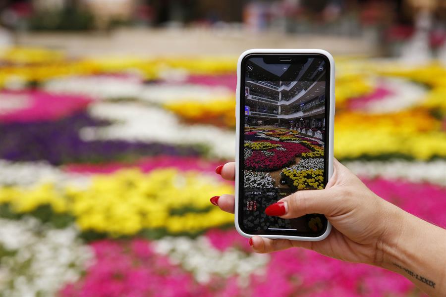 Este tapete está conformado por más de 181 mil flores y es uno de los atractivos turísticos en el marco de la Feria de las Flores.