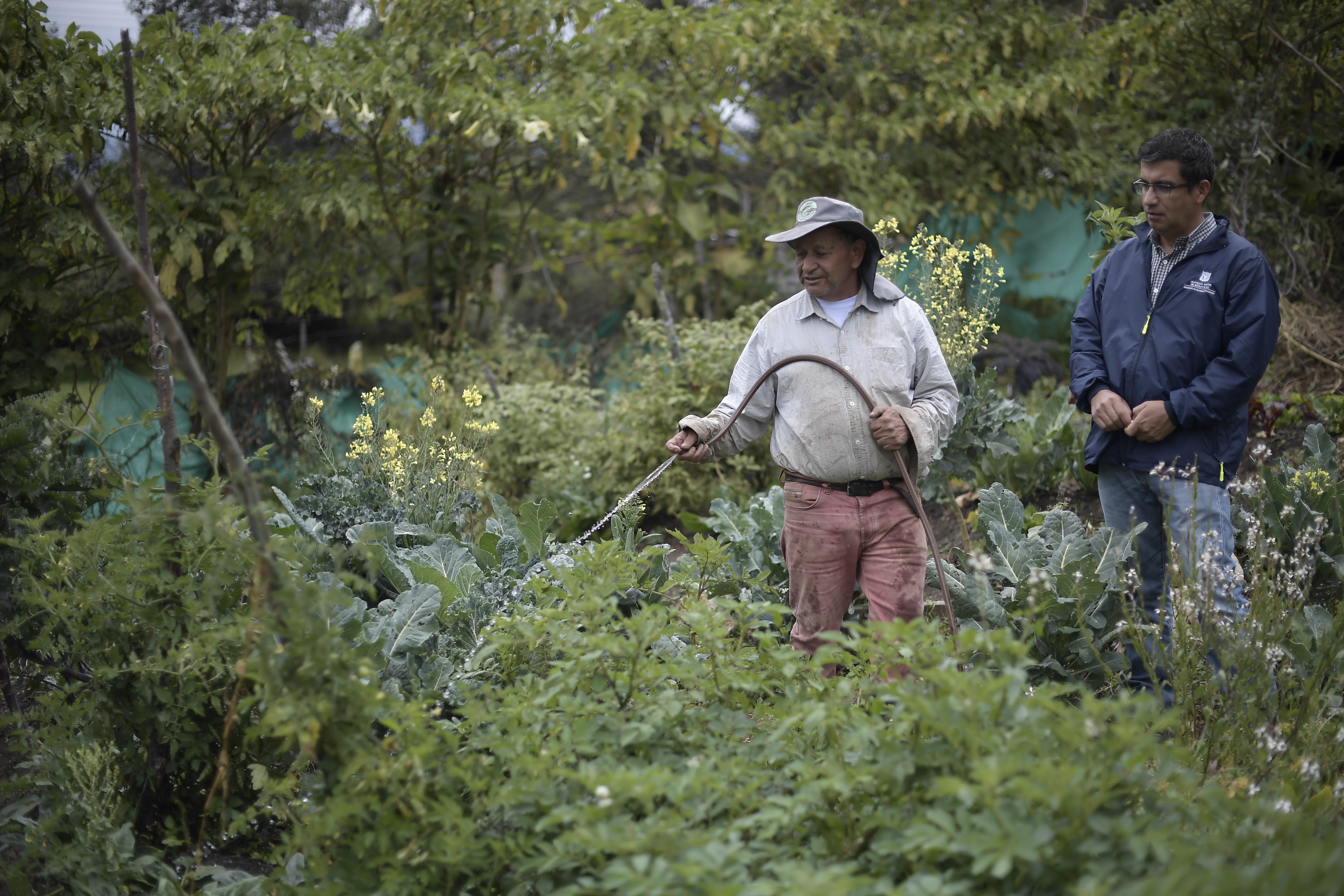 ¿El Minagricultura puede intervenir gremios? La resolución que abrió el debate