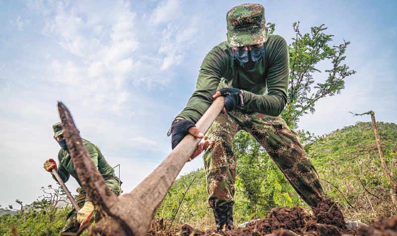 Artemisa: La respuesta militar del Gobierno a un problema ambiental