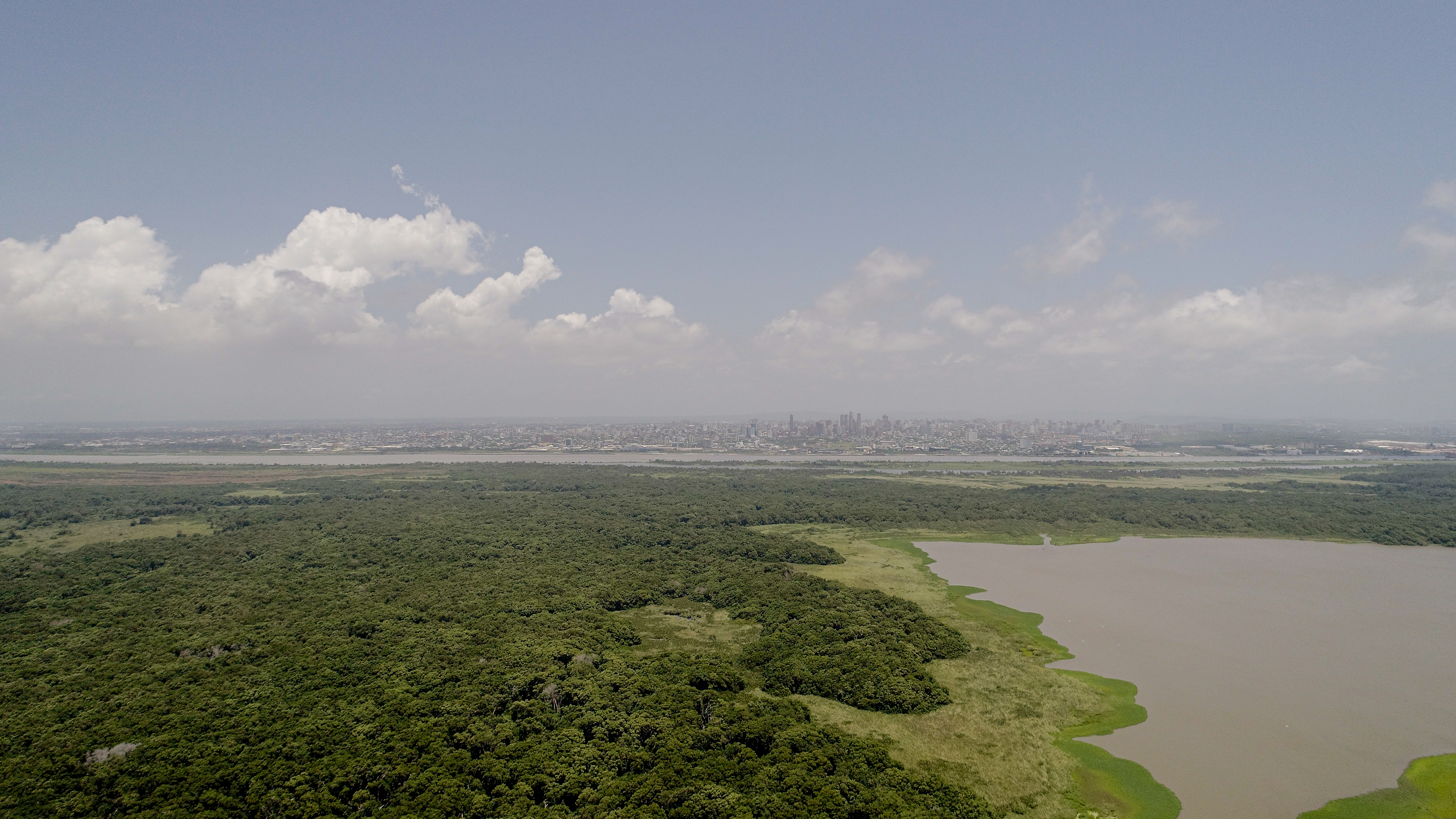 Isla de Salamanca, el parque que se quema ante los ojos de Barranquilla