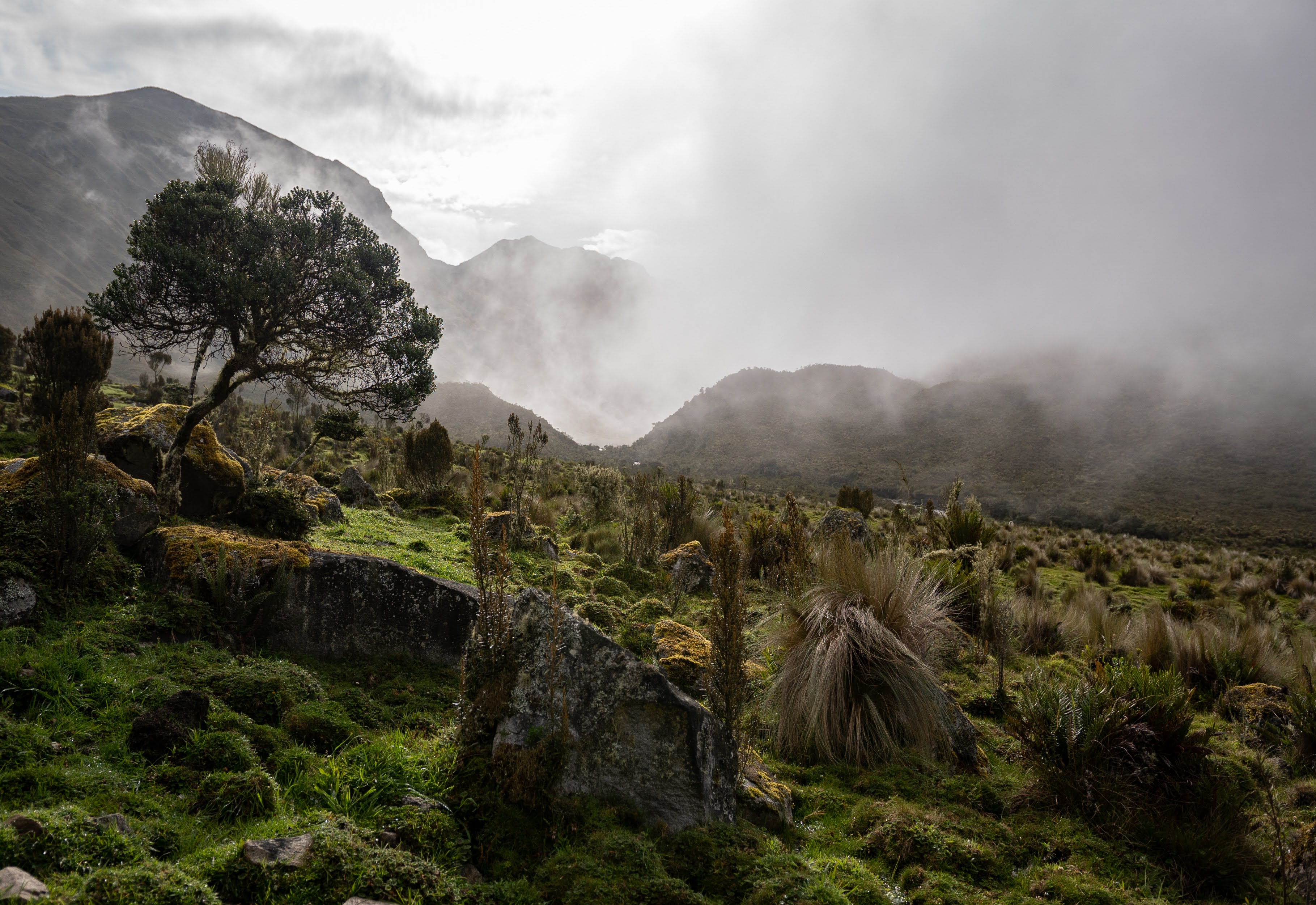 Otro de los atractivos, ya en el resguardo Caloto-Huila, es el valle encantado de El Crucero, cercano a la laguna de Páez.