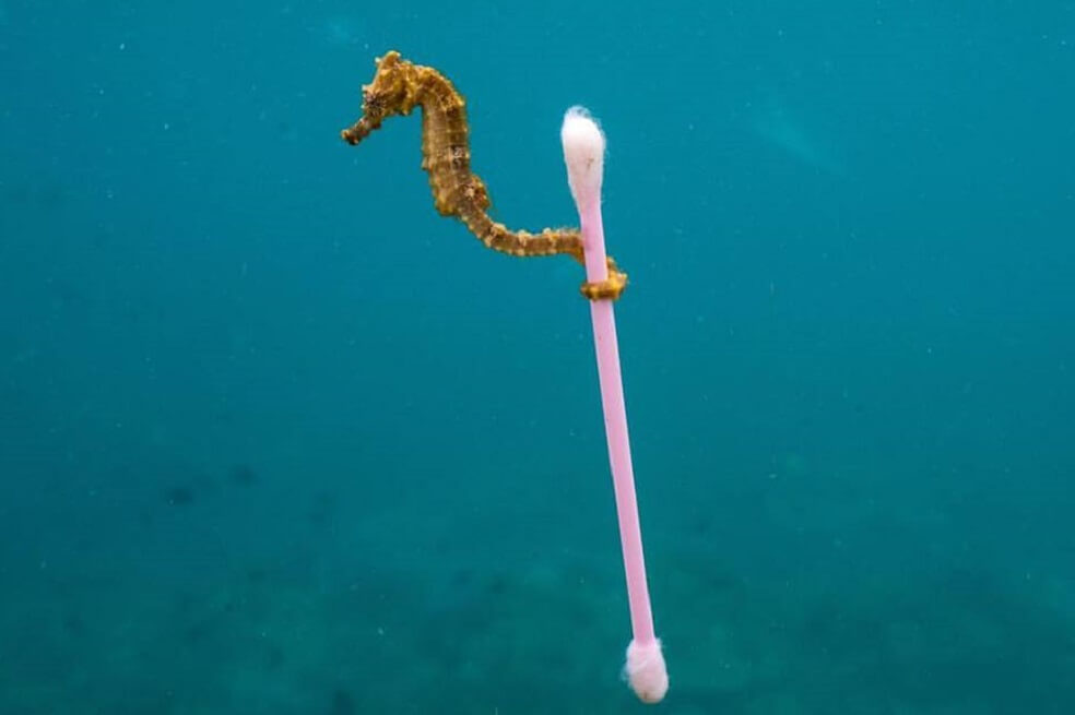 Recrear sonidos del océano con desechos plásticos, la campaña de Nat Geo para tomar conciencia