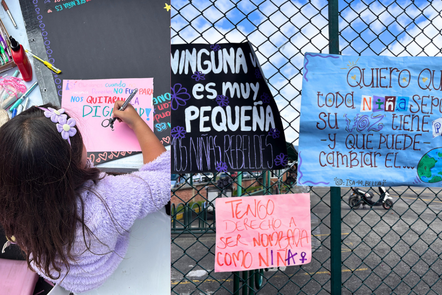 Juez declara improcedente tutela contra ICBF por directriz sobre uso de la palabra “niñas”