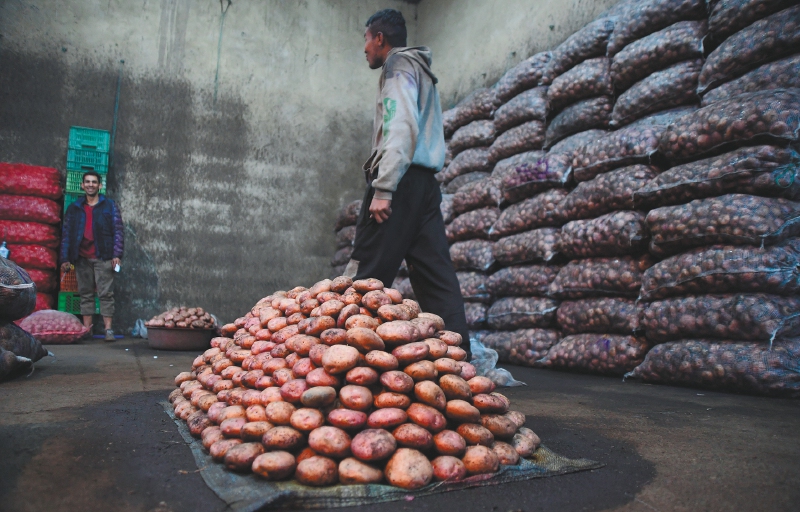 ¿Qué está pasando con los precios de la papa, plátano, yuca, cebolla y tomate?