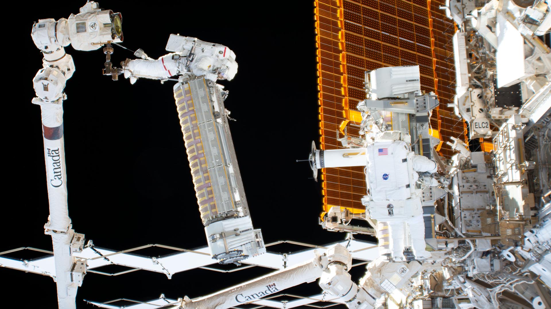 Misión privada saudí despegada a la Estación Espacial Internacional (ISS)