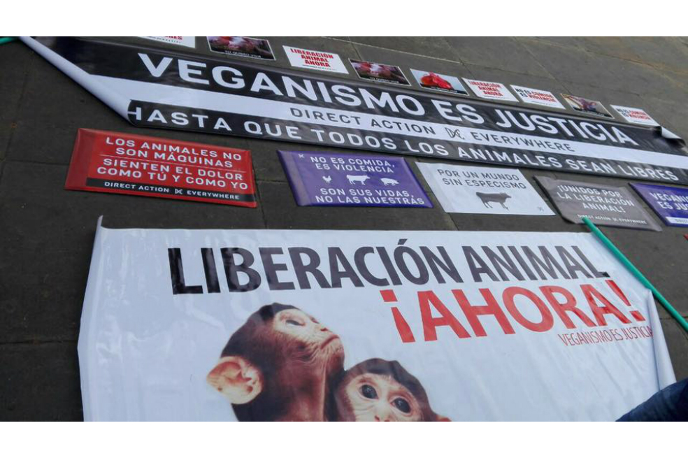 Los famosos que apoyaron la marcha ‘Colombia sin toreo’