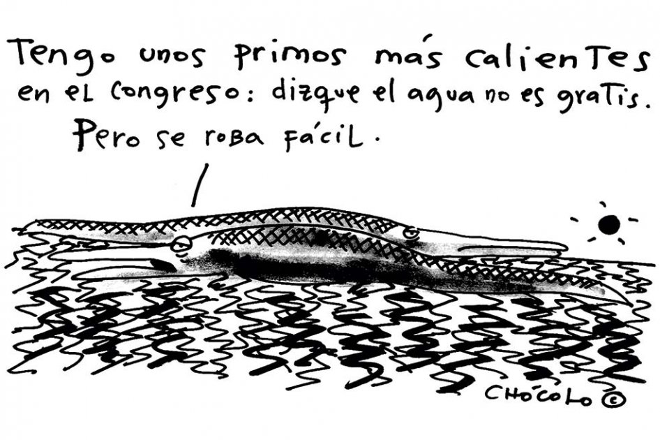 Chócolo